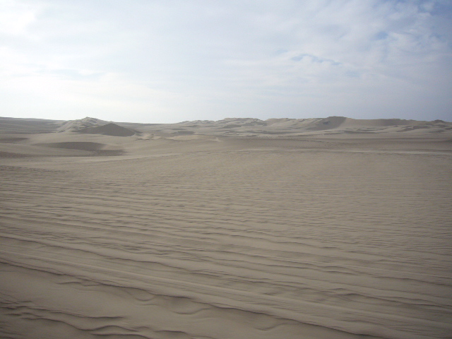 Desert